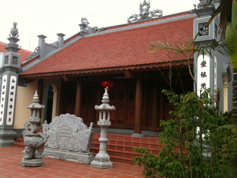 Mẫu 8
